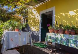 Traditional Madeiran House T3 with Annexes, Large Land and Banana Plantation