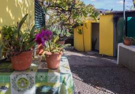 Traditional Madeiran House T3 with Annexes, Large Land and Banana Plantation