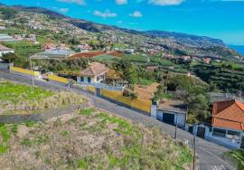 Traditional Madeiran House T3 with Annexes, Large Land and Banana Plantation