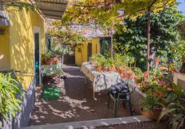 Traditional Madeiran House T3 with Annexes, Large Land and Banana Plantation