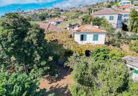 Traditional Madeiran House T3 with Annexes, Large Land and Banana Plantation