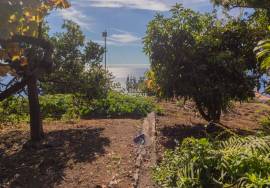 Traditional Madeiran House T3 with Annexes, Large Land and Banana Plantation