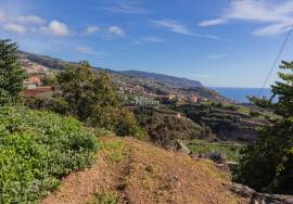 Traditional Madeiran House T3 with Annexes, Large Land and Banana Plantation