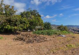 Traditional Madeiran House T3 with Annexes, Large Land and Banana Plantation