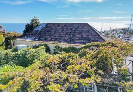 Traditional Madeiran House T3 with Annexes, Large Land and Banana Plantation