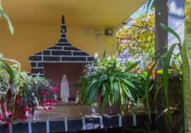 Traditional Madeiran House T3 with Annexes, Large Land and Banana Plantation