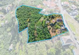 Traditional Madeiran House T3 with Annexes, Large Land and Banana Plantation