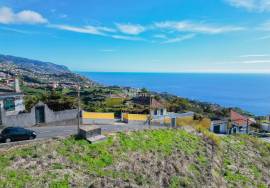 Traditional Madeiran House T3 with Annexes, Large Land and Banana Plantation
