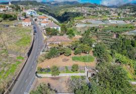 Traditional Madeiran House T3 with Annexes, Large Land and Banana Plantation