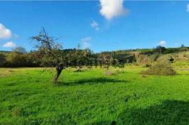 Great Plot of Land & Renovation Project For Sale In Vale de Prazeres and Mata da Rainha Fundão Great Plot of Land & Renovation Project For Sale In Vale de Prazeres and Mata da Rainha Fundão