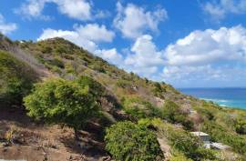 Prime 4-Acre Ocean-View Development Land – Union Island, St Vincent & the