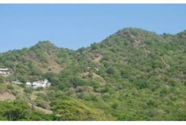 Prime 4-Acre Ocean-View Development Land – Union Island, St Vincent & the