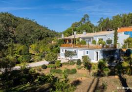 Modern Monchique Country Home