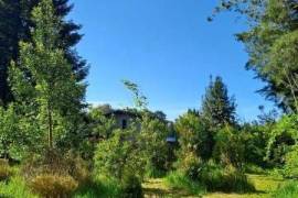 Two Contiguous Rural Properties with Homes in Southern Chile