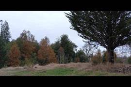 Two Contiguous Rural Properties with Homes in Southern Chile
