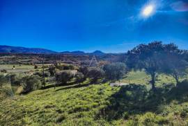 Beautiful Plot of Land in the Countryside Beautiful Plot of Land in the Countryside