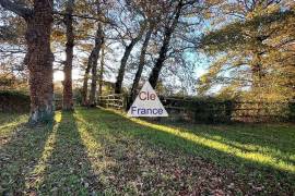 Large Detached Country House, Ideal Family Home