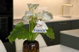 Apartment with Large Terrace, Balcony Apartment with Large Terrace, Balcony