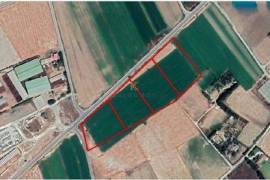 Four adjacent Fields for sale in Kiti Village, Larnaca