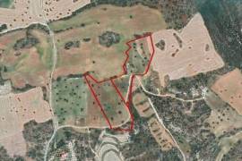 Agricultural Two adjoining Fields in Agios Theodoros area, Larnaca