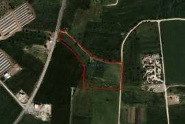 Touristic Land for sale in Mazotos Village, Larnaca