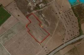 Agricultural Land for sale in Mazotos village, in Larnaca district