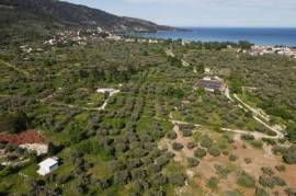 Agricultural 5000 sq.m.