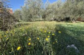 LAND AREA 966 m2 ČEPRLJANDA – UGLJAN, ISLAND OF UGLJAN