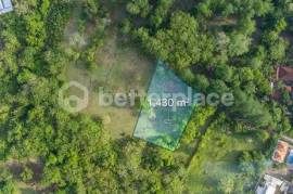 Leasehold 1,430 sqm Land in Balangan — 7 Minutes to Balangan Beach , High Potential Investment Opportunity