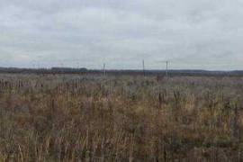 Участок 171,5 Гектар