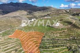 Agricultural 4850 sq.m for sale