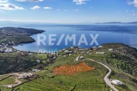 Agricultural 4850 sq.m for sale