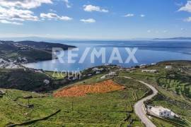 Agricultural 4850 sq.m for sale