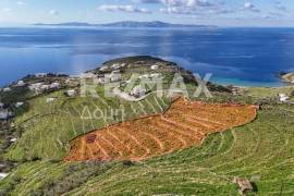 Agricultural 4850 sq.m for sale