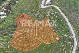 Agricultural 4850 sq.m for sale