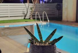 House (Detached) in Universal, Paphos for Sale