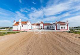 35-hectare estate with 3 houses and vineyards | Redondo, Évora