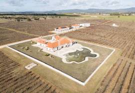 35-hectare estate with 3 houses and vineyards | Redondo, Évora 35-hectare estate with 3 houses and vineyards | Redondo, Évora