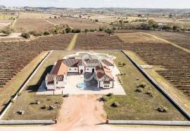 35-hectare estate with 3 houses and vineyards | Redondo, Évora 35-hectare estate with 3 houses and vineyards | Redondo, Évora