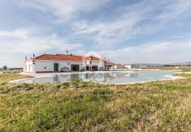 35-hectare estate with 3 houses and vineyards | Redondo, Évora 35-hectare estate with 3 houses and vineyards | Redondo, Évora