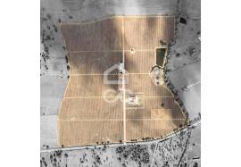 35-hectare estate with 3 houses and vineyards | Redondo, Évora 35-hectare estate with 3 houses and vineyards | Redondo, Évora