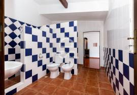 Farmhouse Alcácer do Sal Torrão