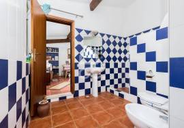 Farmhouse Alcácer do Sal Torrão