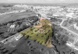 Farmhouse Alcácer do Sal Torrão