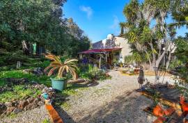 A Hidden Gem in the Green Heart of Silves