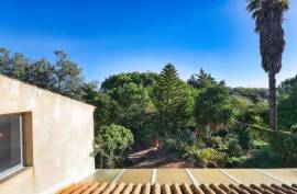 A Hidden Gem in the Green Heart of Silves