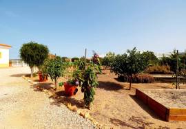 Property of excellence in Odiáxere. T5 of recent construction and land with potential for expansion in a privileged area of the Algarve.