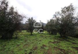 House with garage, land, and outbuildings in the town of Maçãs de Dona Maria