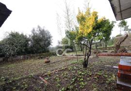 House with garage, land, and outbuildings in the town of Maçãs de Dona Maria