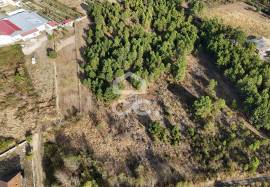 Rustic land with 5,740 m2 Close to the center of Chaves and the A24